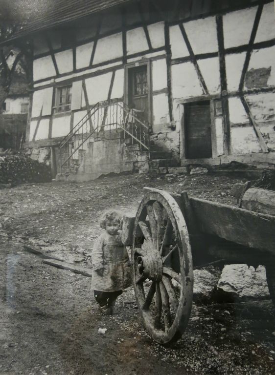 Dans le Haut-Rhin en 1954